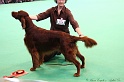 Crufts2011_2 121